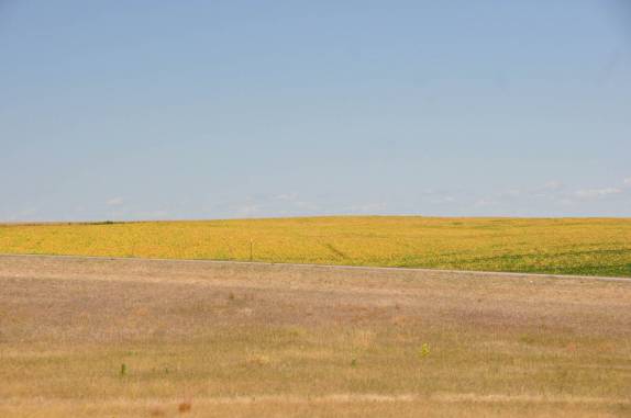 As lavouras deixam a paisagem colorida em South Dakota, nos Estados Unidos